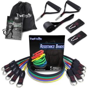 TheFitLife Resistance Bands Set 110LBS complete 11-piece home gym kit with user guide