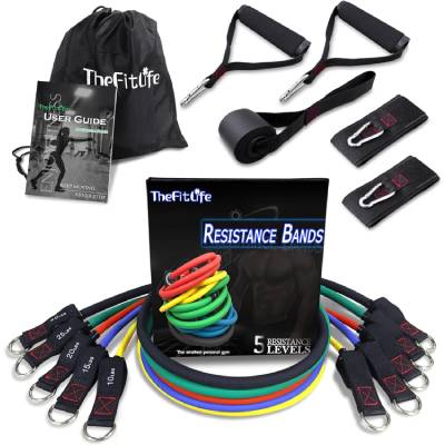 TheFitLife Resistance Bands Set 110LBS complete 11-piece home gym kit with user guide